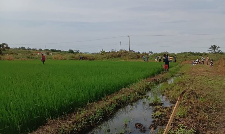 WhatsApp Image 2025-08-15 at 7.47.18 AM