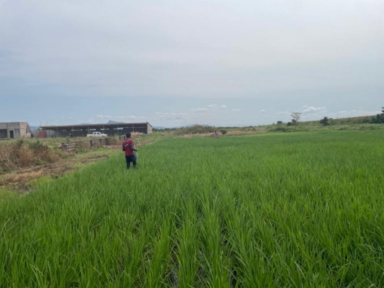 WhatsApp Image 2025-08-15 at 7.47.19 AM