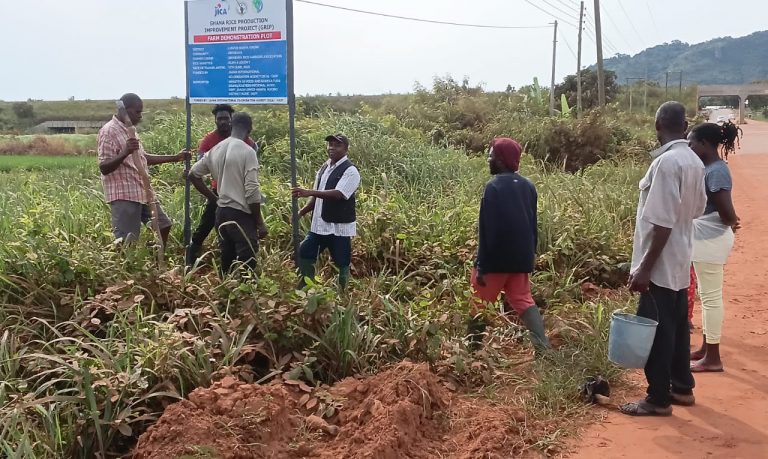 WhatsApp Image 2025-08-15 at 7.47.21 AM (1)