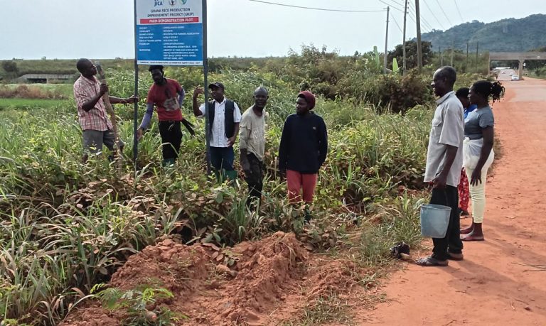 WhatsApp Image 2025-08-15 at 7.47.21 AM (2)