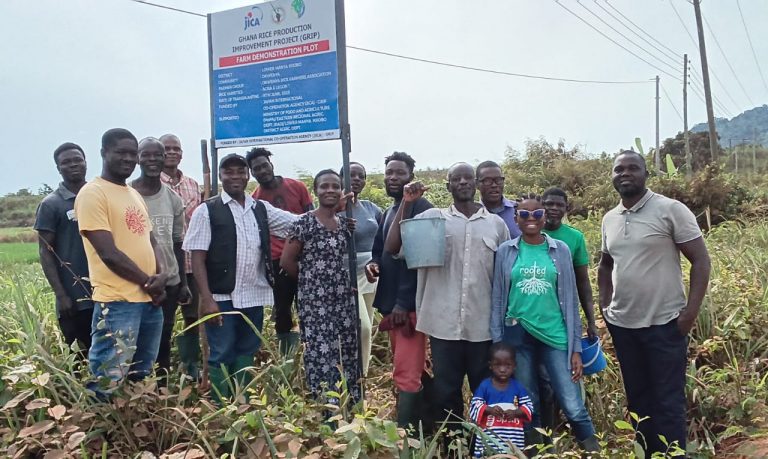 WhatsApp Image 2025-08-15 at 7.47.22 AM (1)